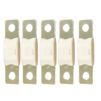 MEGA-fuse 250A/80V (package of 5 pcs)