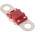 MIDI-fuse 50A/58V-M6 (package of 5 pcs)
